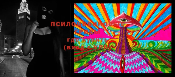 mdpv Киреевск