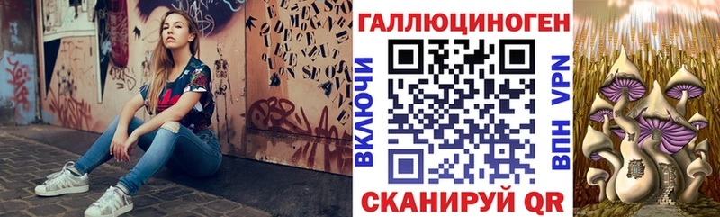 Купить  Заринск  Псилоцибиновые грибы Cubensis 